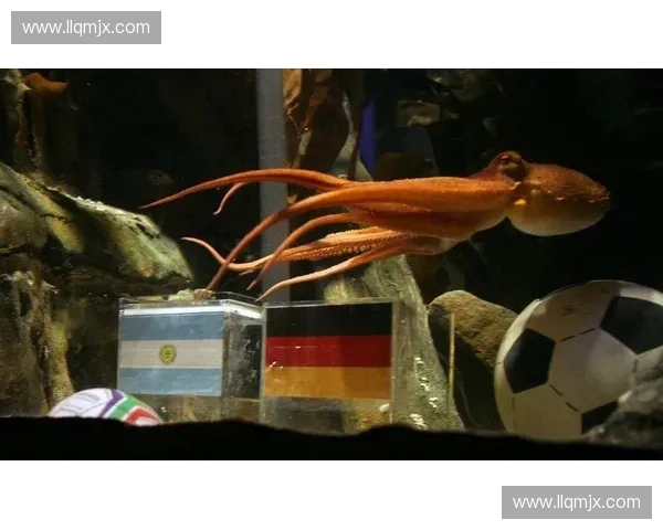 世界杯章鱼保罗预测赛果神奇表现引发全球球迷热议与关注